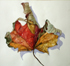 Furled Leaf